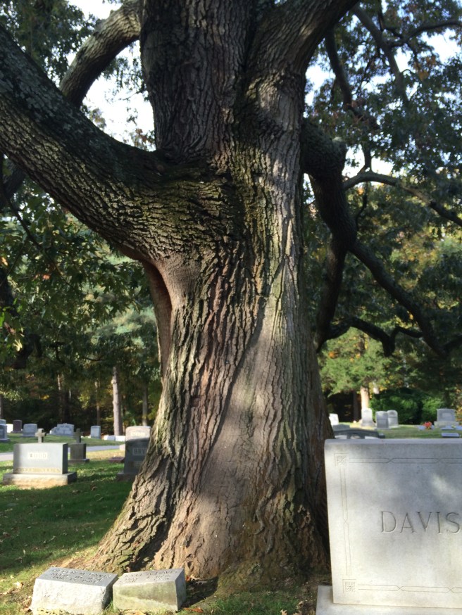 There's the scar of the other strike.