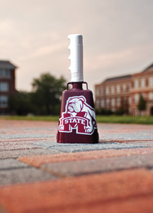 Go State! Source: students.msstate.edu