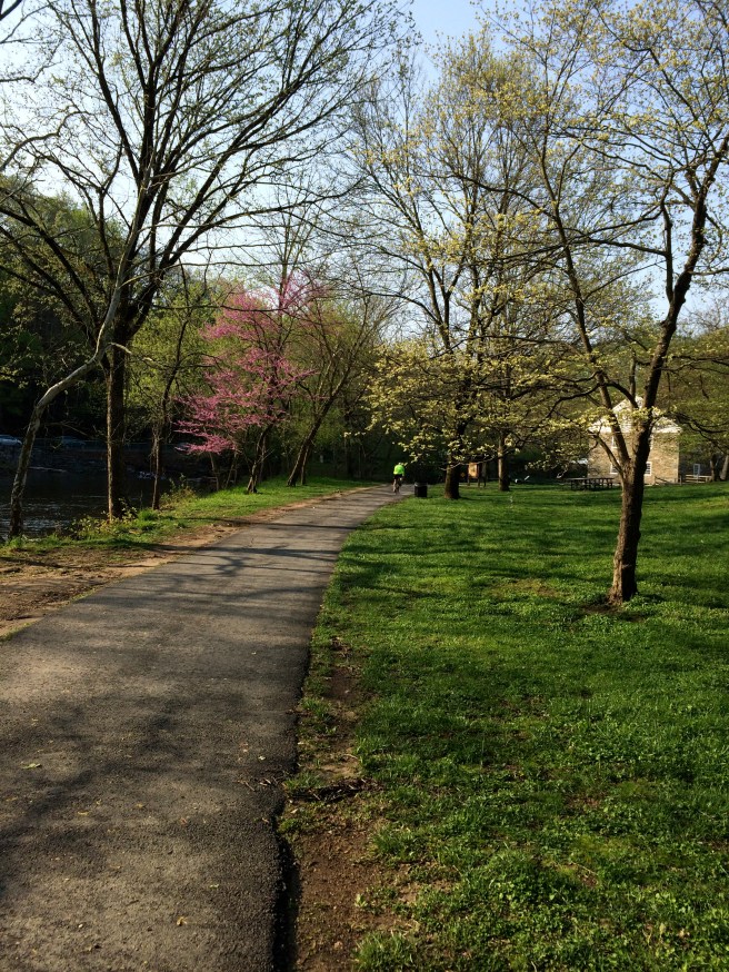DC has a large cyclist community. Several other commuters passed me on the way downtown.