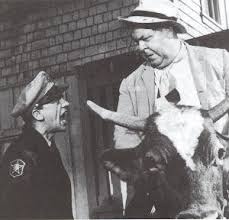 Otis riding a cow. Source: Mayberry.wikia.com