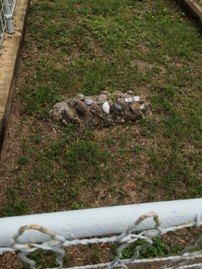 It is a lot of shells embedded within concrete. No other marker or information.