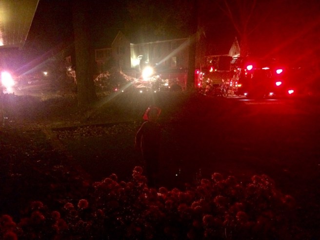 Drama when you least expect it.