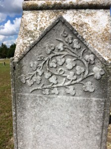 On the north and south sides of Dr. Wilson's headstone. It looks like ivy, or perhaps, dogwood.