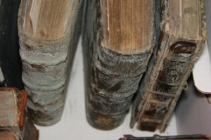 Moldy books prior to cleaning. This was taken at Emory University. Source: Emory University.