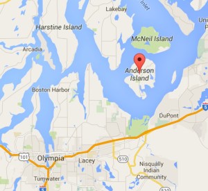 Anderson Island, Washington, with Olympia in the lower left. Source: Google maps