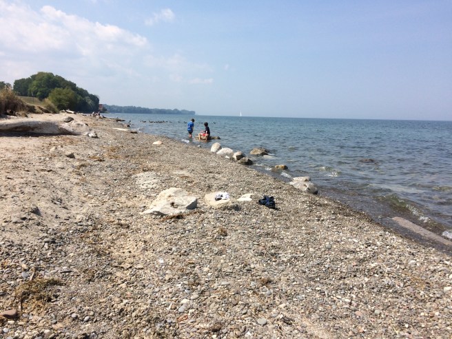 My sons playing on the rocky beach of Lake Ontario.